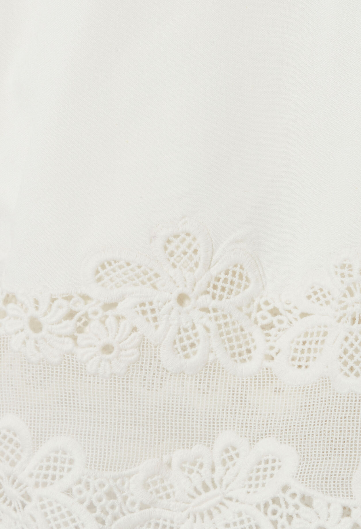 Embroidered Plus Size Shorts