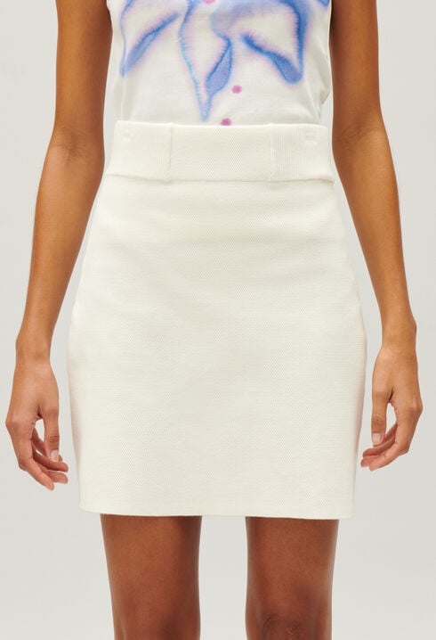 Short high-waisted skirt