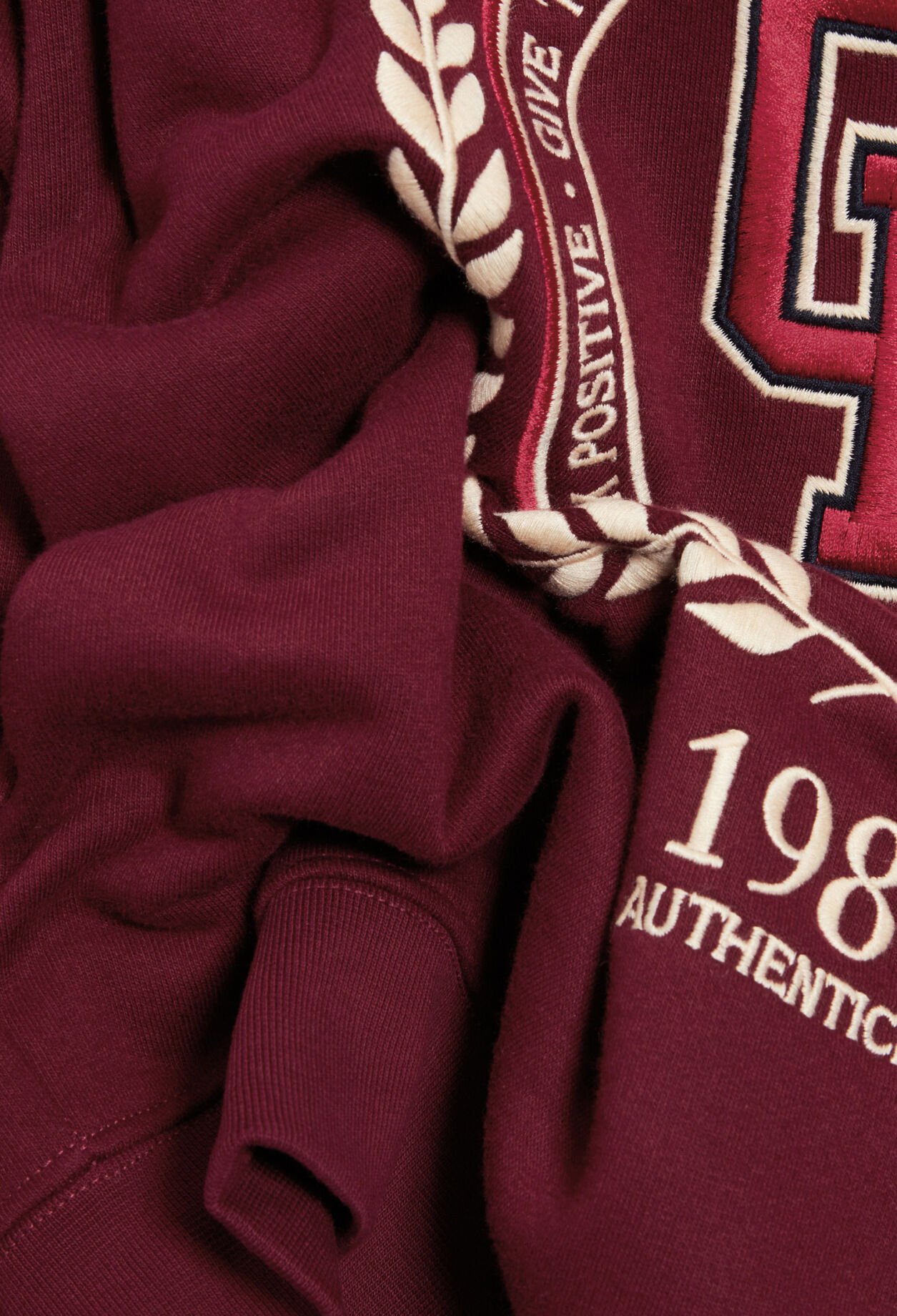 Sweatshirt à capuche coton